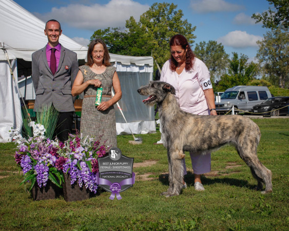 "47th Annual National and the Ontario Regional Specialties "  by Alex Riva published  in Irish Wolfhound World Magazine