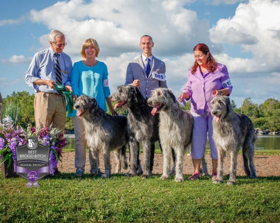 "47th Annual National and the Ontario Regional Specialties "  by Alex Riva published  in Irish Wolfhound World Magazine