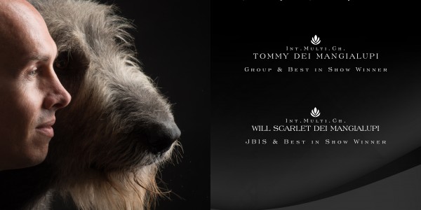 Advertising  BEST IN SHOW Magazine - Tommy dei Mangialupi by Anna Szabo