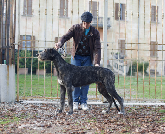 𝐀𝐫𝐤𝐡𝐚𝐦 𝐈𝐍𝐅𝐄𝐑𝐍𝐎 aka 𝐴𝑛𝑛𝑖𝑏𝑎𝑙𝑒