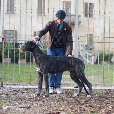 𝐀𝐫𝐤𝐡𝐚𝐦 𝐈𝐍𝐅𝐄𝐑𝐍𝐎 aka 𝐴𝑛𝑛𝑖𝑏𝑎𝑙𝑒