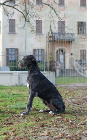 𝐀𝐫𝐤𝐡𝐚𝐦 𝐈𝐍𝐅𝐄𝐑𝐍𝐎 aka 𝐴𝑛𝑛𝑖𝑏𝑎𝑙𝑒