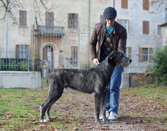 𝐀𝐫𝐤𝐡𝐚𝐦 𝐈𝐍𝐅𝐄𝐑𝐍𝐎 aka 𝐴𝑛𝑛𝑖𝑏𝑎𝑙𝑒