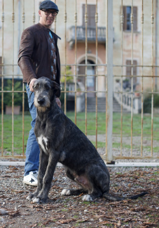 𝐀𝐫𝐤𝐡𝐚𝐦 𝐈𝐍𝐅𝐄𝐑𝐍𝐎 aka 𝐴𝑛𝑛𝑖𝑏𝑎𝑙𝑒