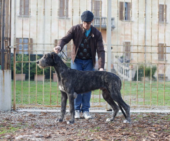 𝐀𝐫𝐤𝐡𝐚𝐦 𝐈𝐍𝐅𝐄𝐑𝐍𝐎 aka 𝐴𝑛𝑛𝑖𝑏𝑎𝑙𝑒