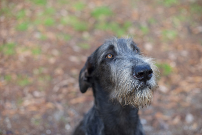 𝐀𝐫𝐤𝐡𝐚𝐦 𝐈𝐍𝐅𝐄𝐑𝐍𝐎 aka 𝐴𝑛𝑛𝑖𝑏𝑎𝑙𝑒