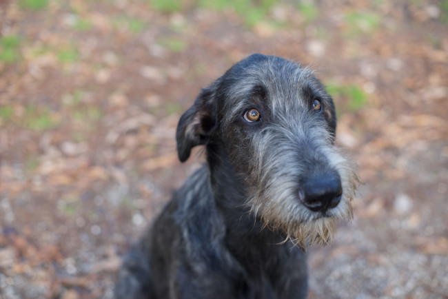 𝐀𝐫𝐤𝐡𝐚𝐦 𝐈𝐍𝐅𝐄𝐑𝐍𝐎 aka 𝐴𝑛𝑛𝑖𝑏𝑎𝑙𝑒