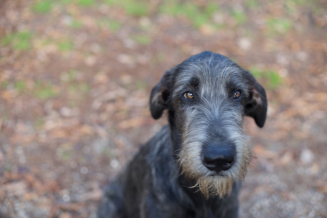 𝐀𝐫𝐤𝐡𝐚𝐦 𝐈𝐍𝐅𝐄𝐑𝐍𝐎 aka 𝐴𝑛𝑛𝑖𝑏𝑎𝑙𝑒