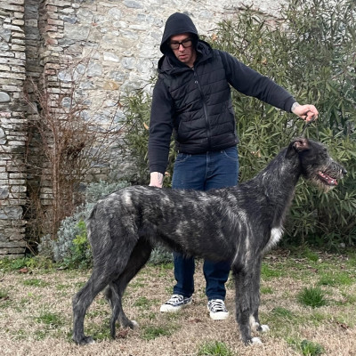 Arkham Divina Elettra turns  8 month old