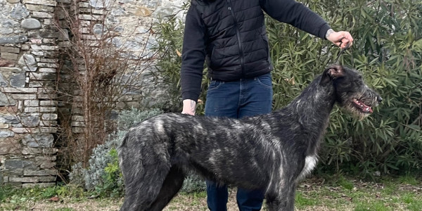 Arkham Divina Elettra turns  8 month old