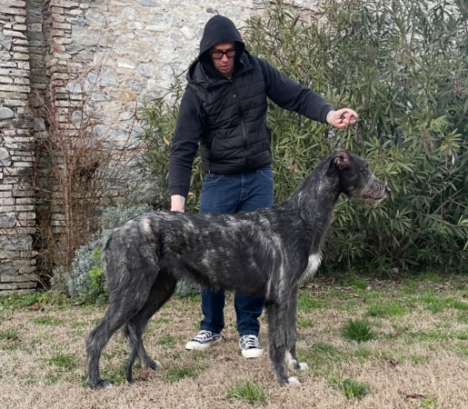 Arkham Divina Elettra turns  8 month old