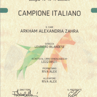 ARKHAM WOLFHOUNDS- Arkham Alexandria Zahara became ITALIAN CHAMPION