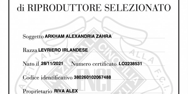 Arkham Wolfhounds  - Arkham Alexandria Zahra is now "RIPRODUTTRICE SELEZIONATA ENCI"
