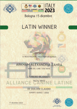 ARKHAM WOLFHOUNDS - ENCI WINNER 2023- BOLOGNA FIERE- LATIN WINNER ARKHAM ALEXANDRIA ZAHRA