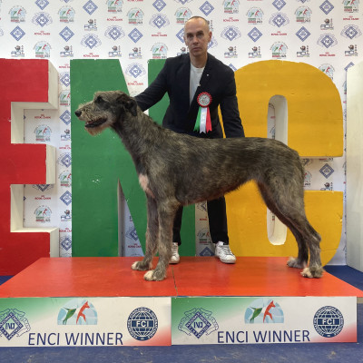 ARKHAM WOLFHOUNDS- ENCI Winner day 3 -Arkham Alexandria Zahra CAC and BOS