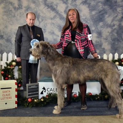 Caledon Dog Show Friday Dec.13/2019  Three Little Birds' Grooving ToThe Music BOB , then Best Puppy in Group
