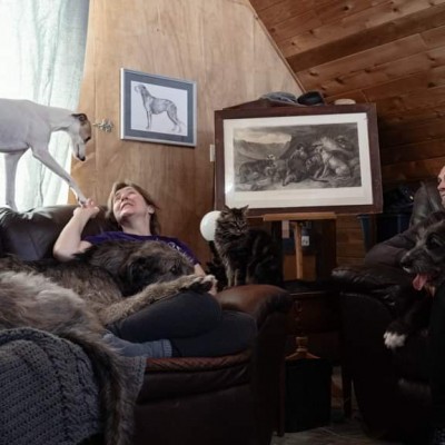 Castlekeep Irish Wolfhounds  Kennel Canada