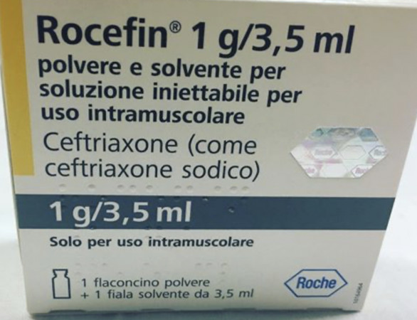 What to do if your Irish Wolfhound has pneumonia? Advice from the breeder.