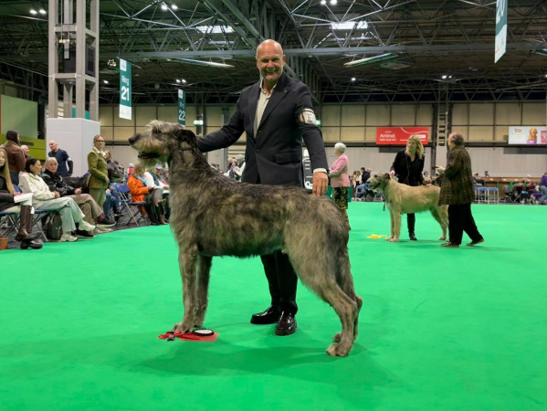 CRUFTS 2026 - Birmingham UK 🇬🇧