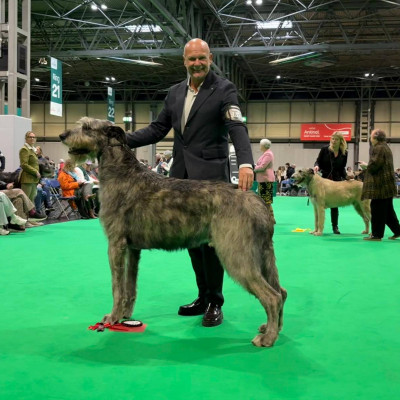 CRUFTS 2026 - Birmingham UK 🇬🇧