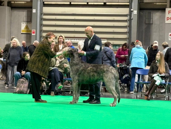 CRUFTS 2026 - Birmingham UK 🇬🇧