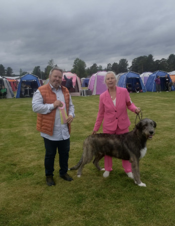 Dala Hund Show Nås 13/6-26 Sweden 🇸🇪
