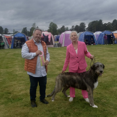 Dala Hund Show Nås 13/6-26 Sweden 🇸🇪