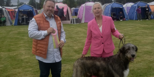 Dala Hund Show Nås 13/6-26 Sweden 🇸🇪