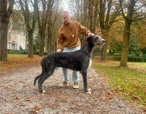 𝓐𝓻𝓴𝓱𝓪𝓶 Divino DANTE 🍂