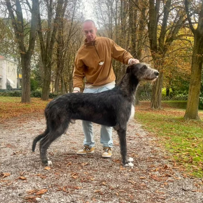 𝓐𝓻𝓴𝓱𝓪𝓶 Divino DANTE 🍂