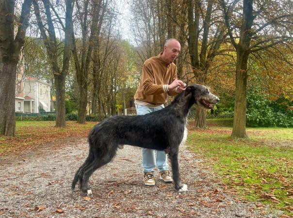 𝓐𝓻𝓴𝓱𝓪𝓶 Divino DANTE 🍂