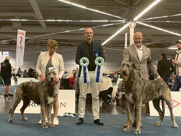 Dortmund - Europasieger 2025 + Crufts Q Germany 🇩🇪