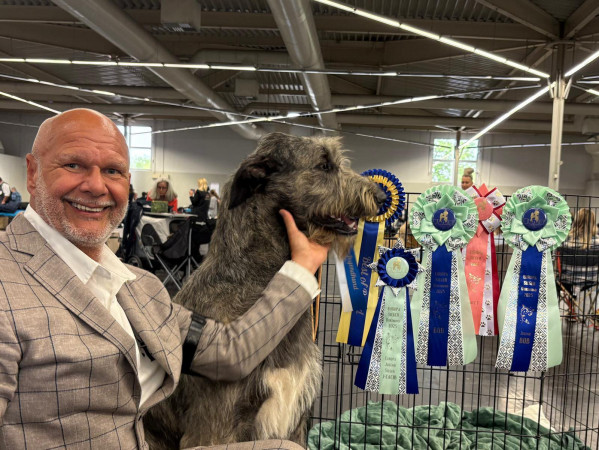 Dortmund - Europasieger 2025 + Crufts Q Germany 🇩🇪