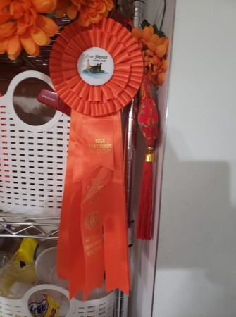 Erie Shores DOG SHOW  Canada -  Three Little Birds Grooving To The Music  Won Best Baby Puppy in Group