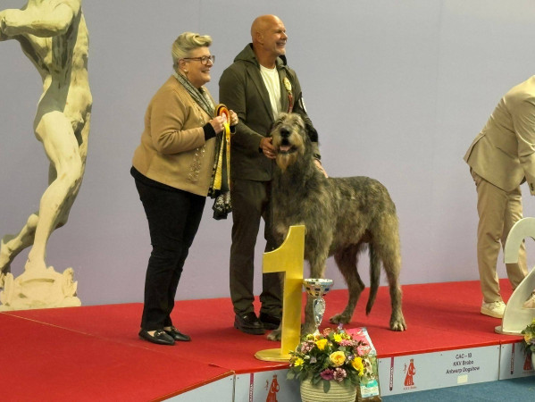 International Dog Show Brabo in Antwerp 🇧🇪