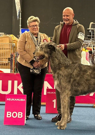 International Dog Show Brabo in Antwerp 🇧🇪