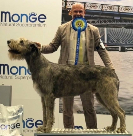 International Cacib Dog Show Liège / Luik  Belgio 🇧🇪
