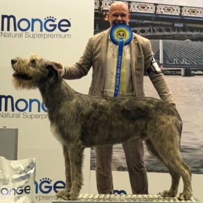International Cacib Dog Show Liège / Luik  Belgio 🇧🇪