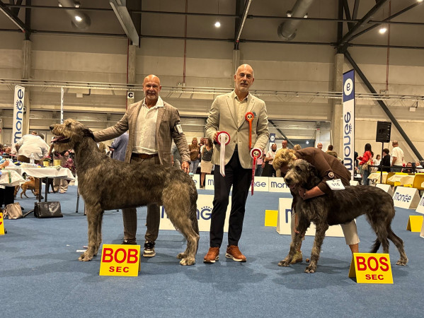 International Cacib Dog Show Liège / Luik  Belgio 🇧🇪