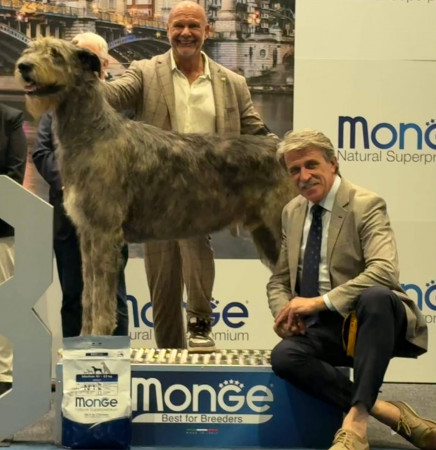 International Cacib Dog Show Liège / Luik  Belgio 🇧🇪