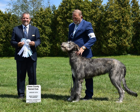 Essex County Dog Show  Canada - Three Little Birds' Grooving ToThe Music  got Group 3 and Best Puppy in Group