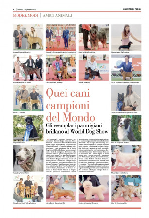 Gazzetta di Parma - Those World Champion Dogs