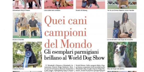 Gazzetta di Parma - Those World Champion Dogs