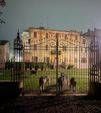 Halloween at Arkham!