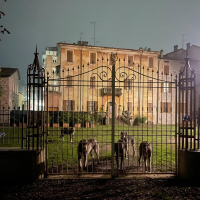 Halloween at Arkham!