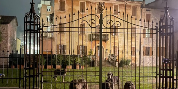 Halloween at Arkham!