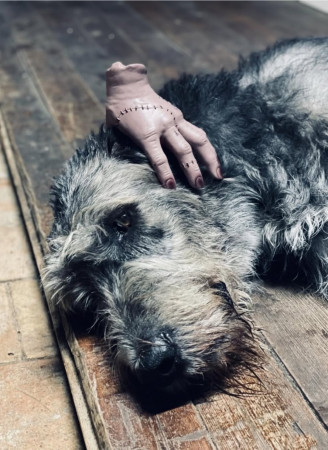 Halloween at Arkham!