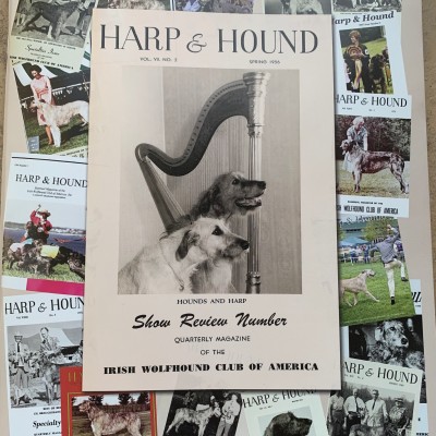 Harp & Hound - Official Magazine IWCA - Surviving COVID-19 by Alex Riva