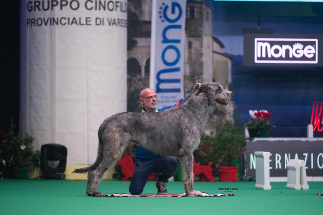 Insubria Winner Circuit 2025