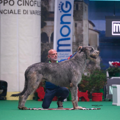 Insubria Winner Circuit 2025